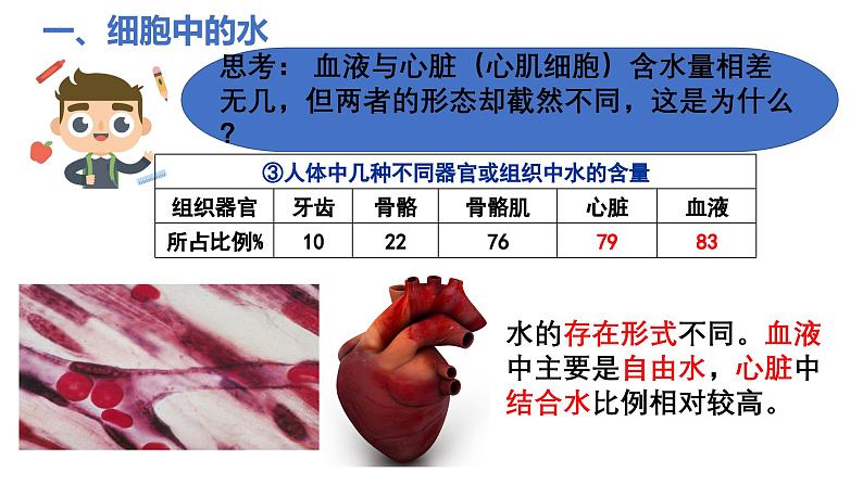 2025届高三生物一轮复习课件2.2细胞中的无机物(1课时)第2页