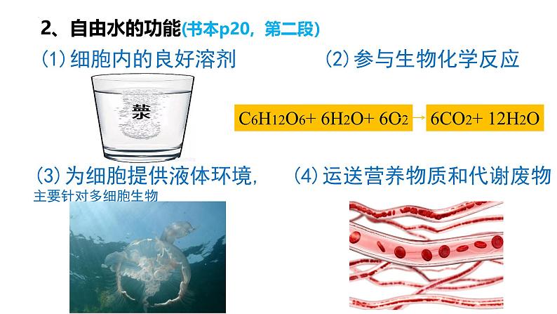 2025届高三生物一轮复习课件2.2细胞中的无机物(1课时)第4页