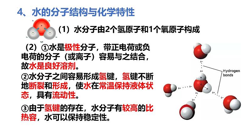 2025届高三生物一轮复习课件2.2细胞中的无机物(1课时)第8页