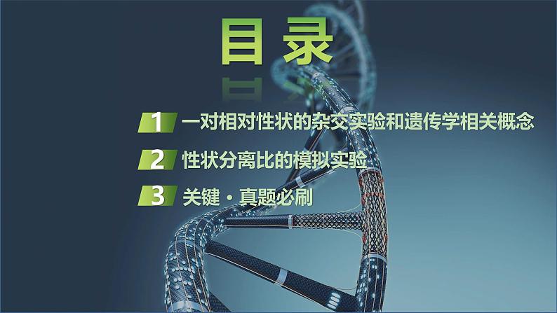 2025届高三生物一轮复习课件分离定律的发现第2页