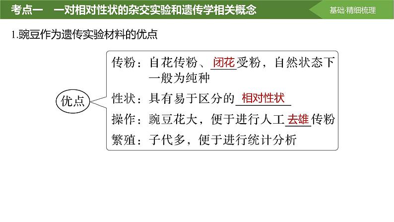 2025届高三生物一轮复习课件分离定律的发现第4页