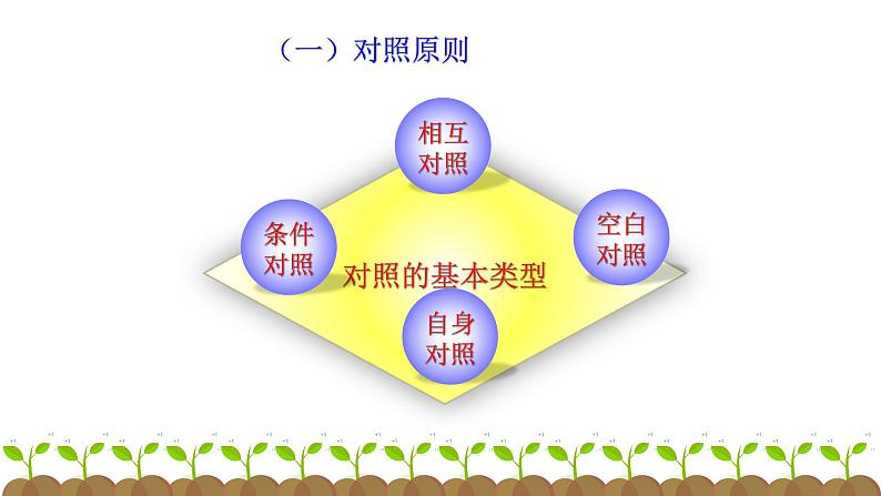 2025届高三生物一轮复习课件生物实验设计专题突破第4页