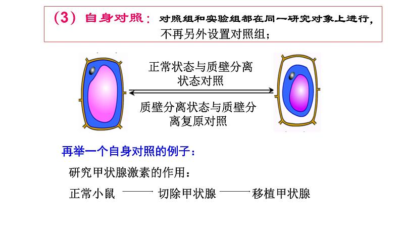 2025届高三生物一轮复习课件生物实验设计专题突破第7页