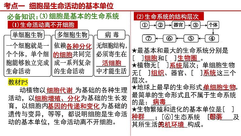 2025届高三生物一轮复习课件第1讲走近细胞第7页