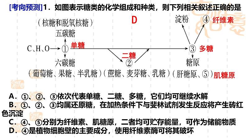 2025届高三生物一轮复习课件第二章第三节糖类，脂质第2页