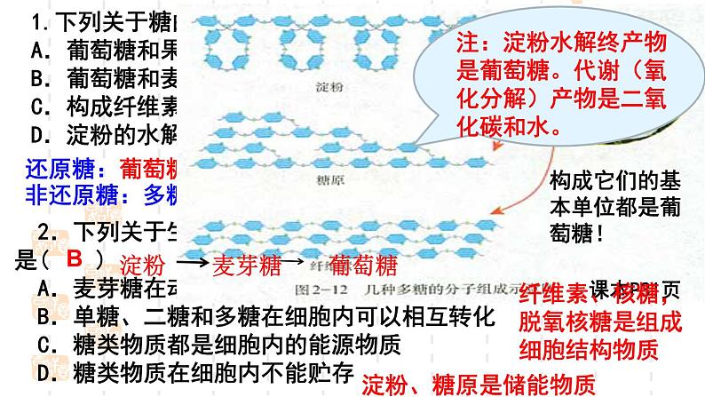 2025届高三生物一轮复习课件第二章第三节糖类，脂质第5页