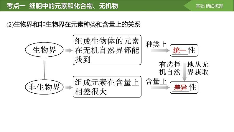 2025届高三生物一轮复习课件第2讲：细胞中的无机物、糖类和脂质第6页