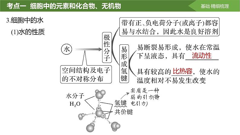 2025届高三生物一轮复习课件第2讲：细胞中的无机物、糖类和脂质第8页