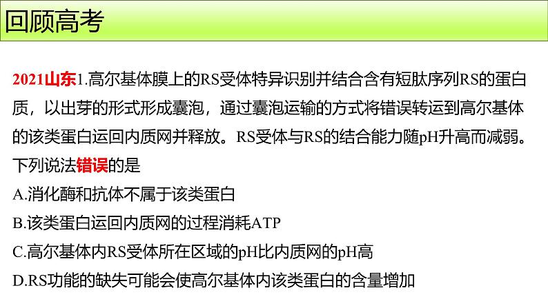 2025届高三生物一轮复习课件第3讲蛋白质是生命活动的主要承担者第2页