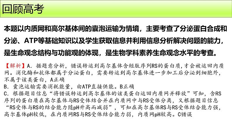 2025届高三生物一轮复习课件第3讲蛋白质是生命活动的主要承担者第3页