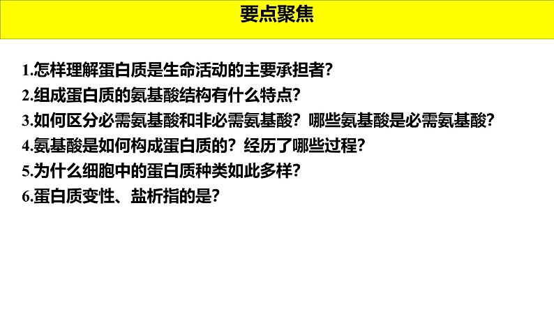 2025届高三生物一轮复习课件第3讲蛋白质是生命活动的主要承担者第4页