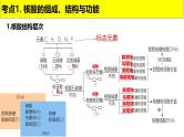 2025届高三生物一轮复习课件第4讲核酸是遗传信息的携带者
