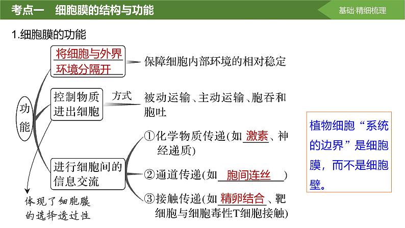 2025届高三生物一轮复习课件第5讲：细胞膜与细胞核第4页