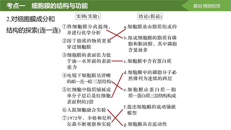 2025届高三生物一轮复习课件第5讲：细胞膜与细胞核第5页