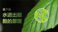 2025届高三生物一轮复习课件第7讲：水进出细胞的原理