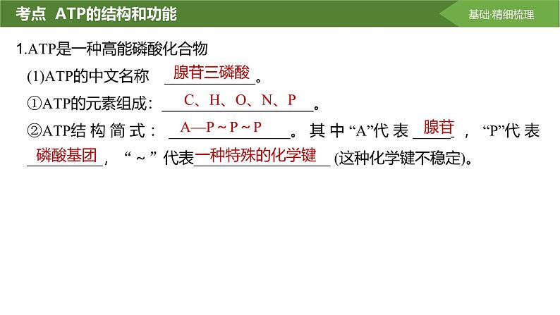 2025届高三生物一轮复习课件第10讲：细胞的能量“货币”ATP第4页