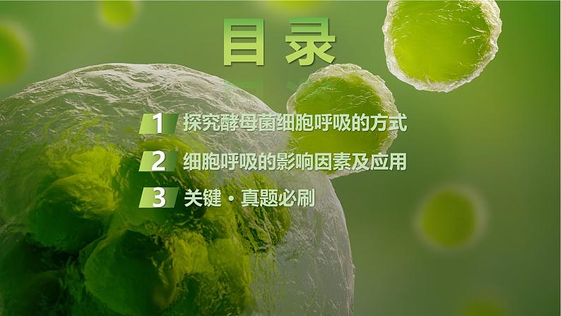 2025届高三生物一轮复习课件第12讲：细胞呼吸的影响因素及其应用02