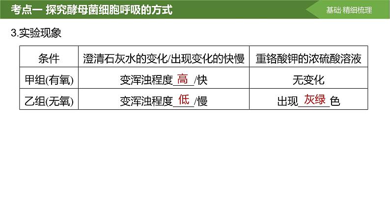 2025届高三生物一轮复习课件第12讲：细胞呼吸的影响因素及其应用08