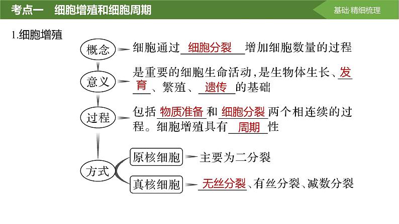 2025届高三生物一轮复习课件第16讲：细胞的增殖第4页