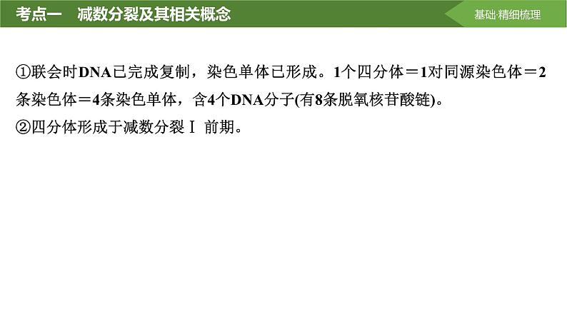 2025届高三生物一轮复习课件第17讲：减数分裂和受精作用第8页