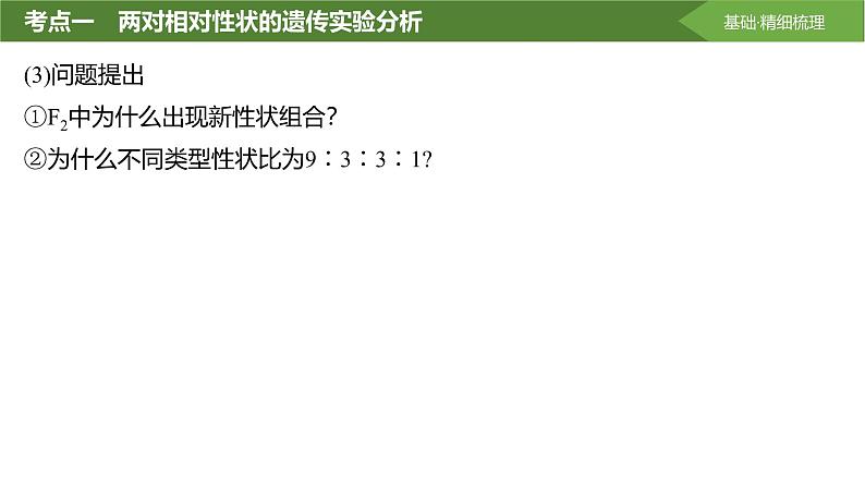 2025届高三生物一轮复习课件第23讲：基因的自由组合定律课件第6页