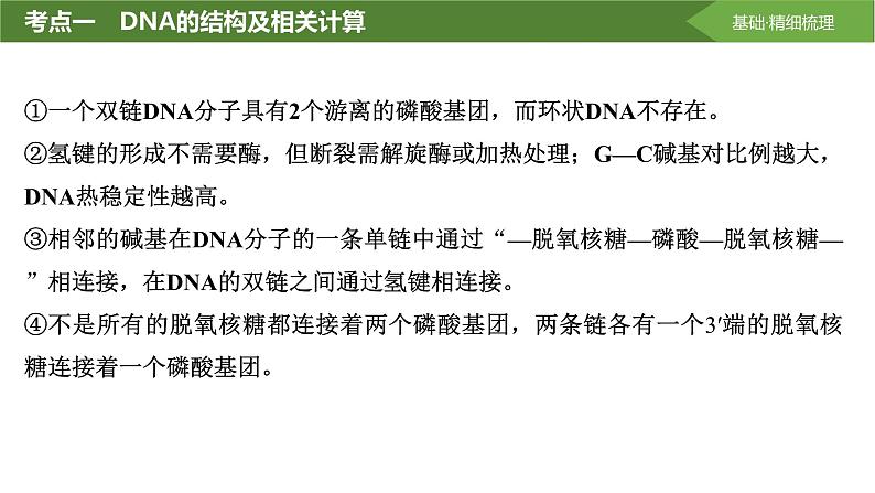 2025届高三生物一轮复习课件第28讲：DNA的结构、复制及基因的本质第5页