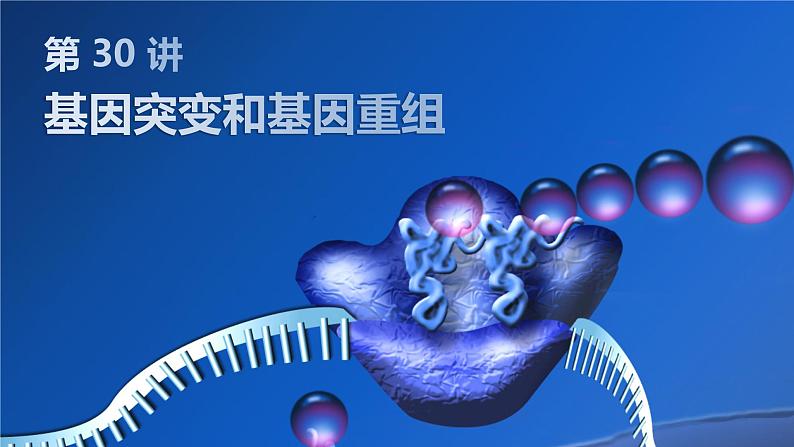 2025届高三生物一轮复习课件第30讲：基因突变和基因重组第1页