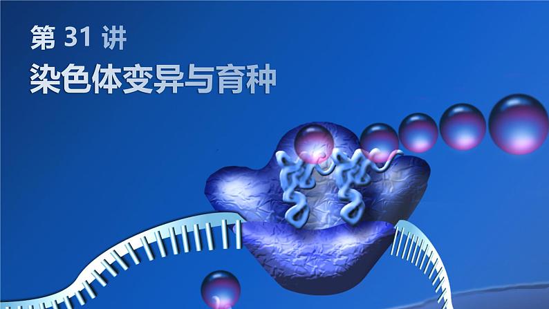 2025届高三生物一轮复习课件第31讲：染色体变异与育种第1页