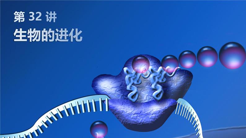 2025届高三生物一轮复习课件第32讲：生物的进化第1页