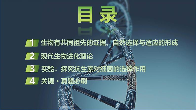 2025届高三生物一轮复习课件第32讲：生物的进化第2页