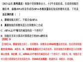 2025届高三生物一轮复习课件细胞的多样性和统一性