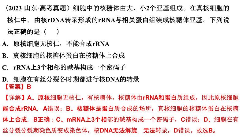 2025届高三生物一轮复习课件细胞的多样性和统一性第3页