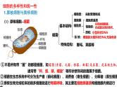 2025届高三生物一轮复习课件细胞的多样性和统一性