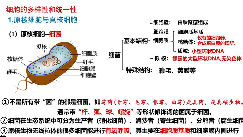 2025届高三生物一轮复习课件细胞的多样性和统一性第5页