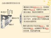 2025届高考生物一轮总复习第2单元细胞的基本结构及物质运输第5讲细胞膜课件