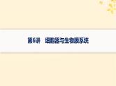 2025届高考生物一轮总复习第2单元细胞的基本结构及物质运输第6讲细胞器与生物膜系统课件