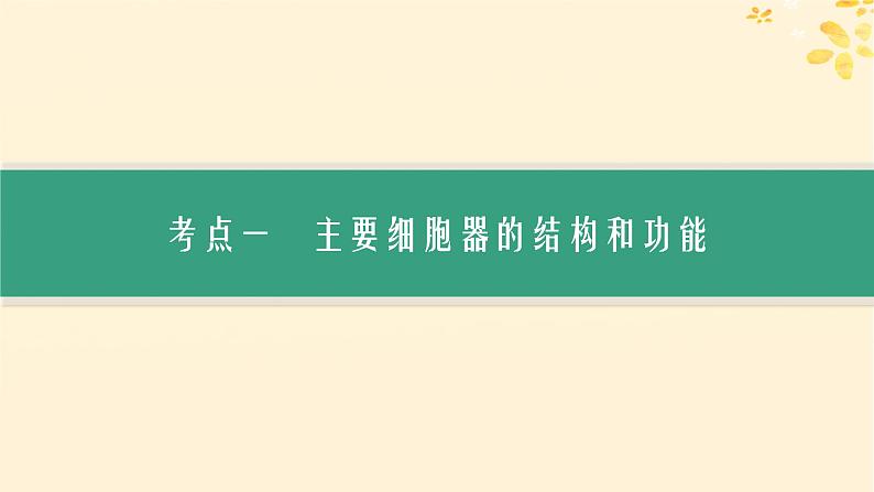 2025届高考生物一轮总复习第2单元细胞的基本结构及物质运输第6讲细胞器与生物膜系统课件03