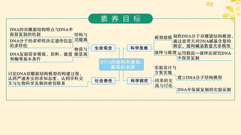 2025届高考生物一轮总复习第6单元遗传的分子基础第24讲DNA的结构和复制基因的本质课件第2页