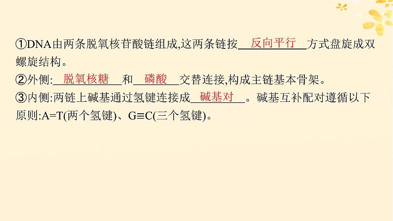 2025届高考生物一轮总复习第6单元遗传的分子基础第24讲DNA的结构和复制基因的本质课件第6页