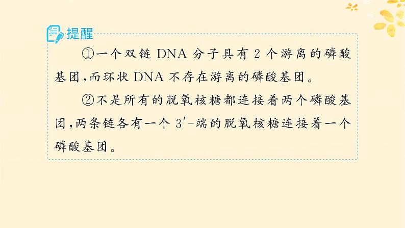 2025届高考生物一轮总复习第6单元遗传的分子基础第24讲DNA的结构和复制基因的本质课件第8页