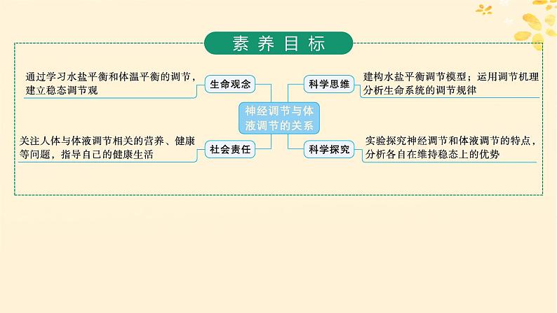 2025届高考生物一轮总复习第8单元稳态与调节第35讲神经调节与体液调节的关系课件第2页