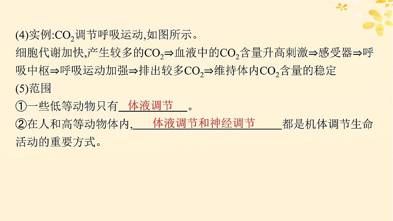 2025届高考生物一轮总复习第8单元稳态与调节第35讲神经调节与体液调节的关系课件第5页