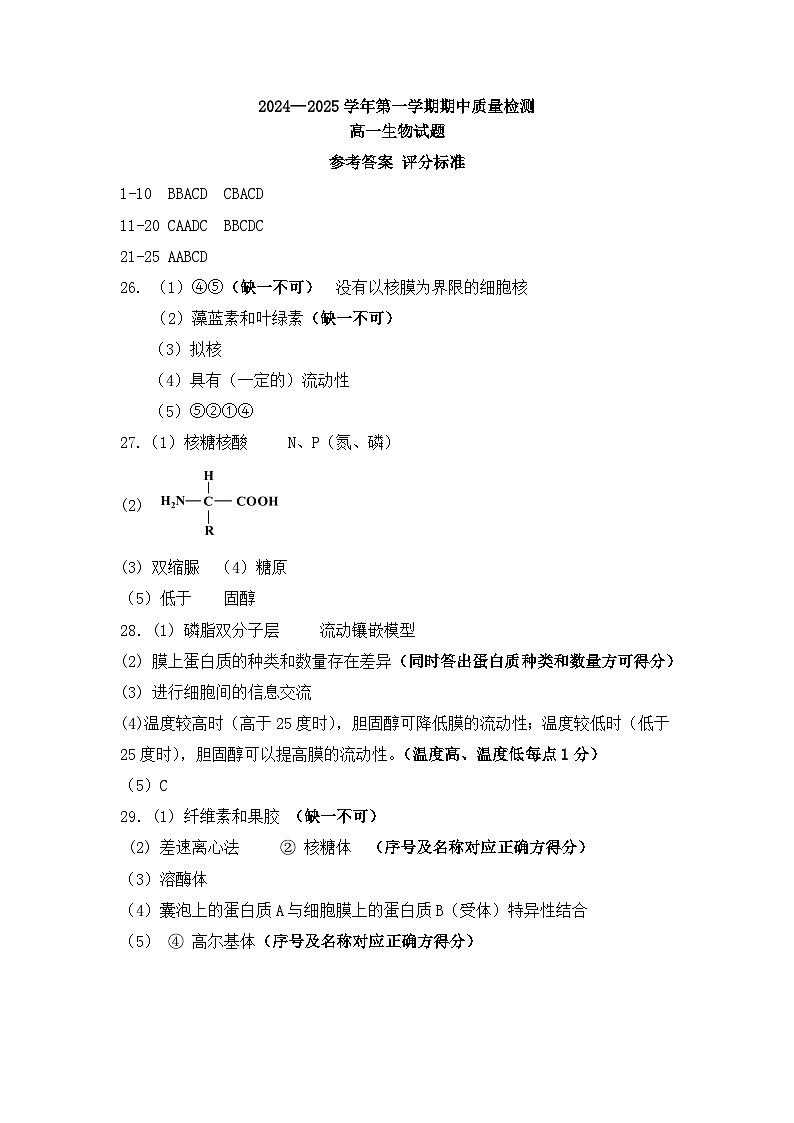 山东省济宁市兖州区2024-2025学年高一上学期11月期中考试生物试题01
