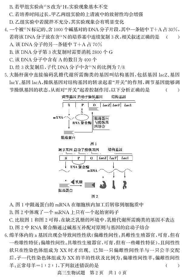 （教研室提供）山东省济宁市兖州区2024-2025学年高三上学期期中考试生物试题第2页