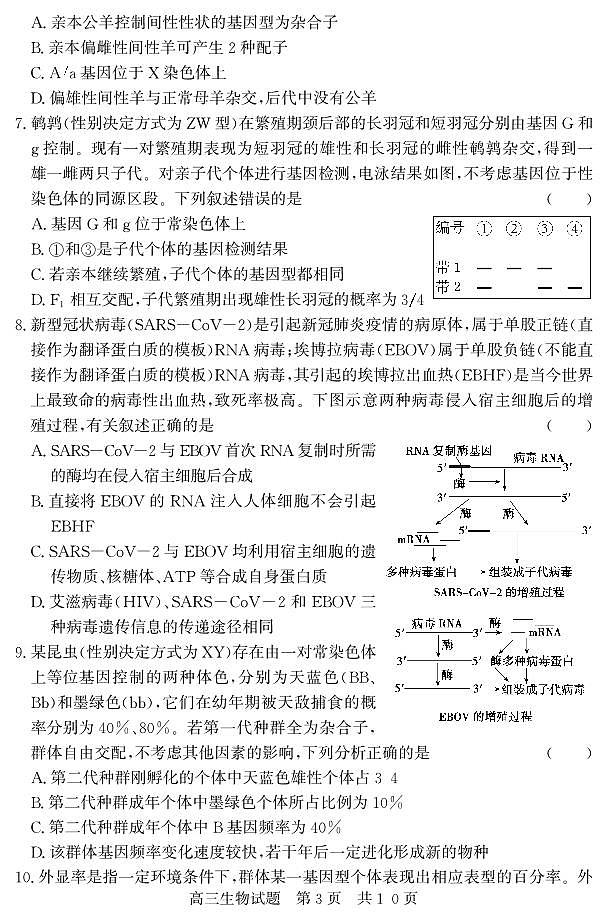 （教研室提供）山东省济宁市兖州区2024-2025学年高三上学期期中考试生物试题第3页