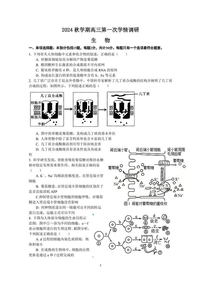 江苏省江阴市某校2024-2025学年高三上学期10月学情调研生物试题第1页