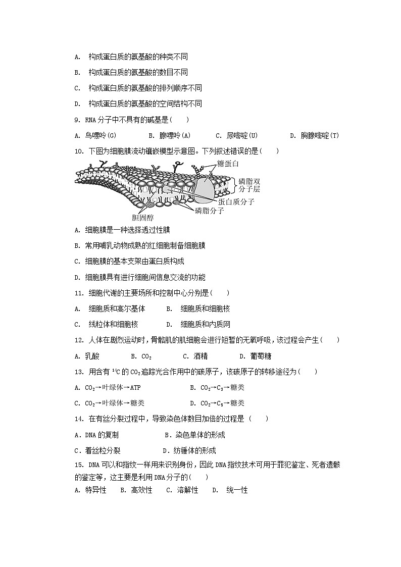 江苏省江阴市某校2024-2025学年高二上学期期中考试生物（必修）试题02