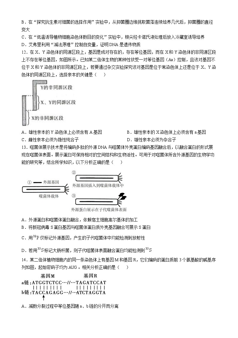 福建省莆田第一中学2024-2025学年高二上学期期中考试生物试题第3页