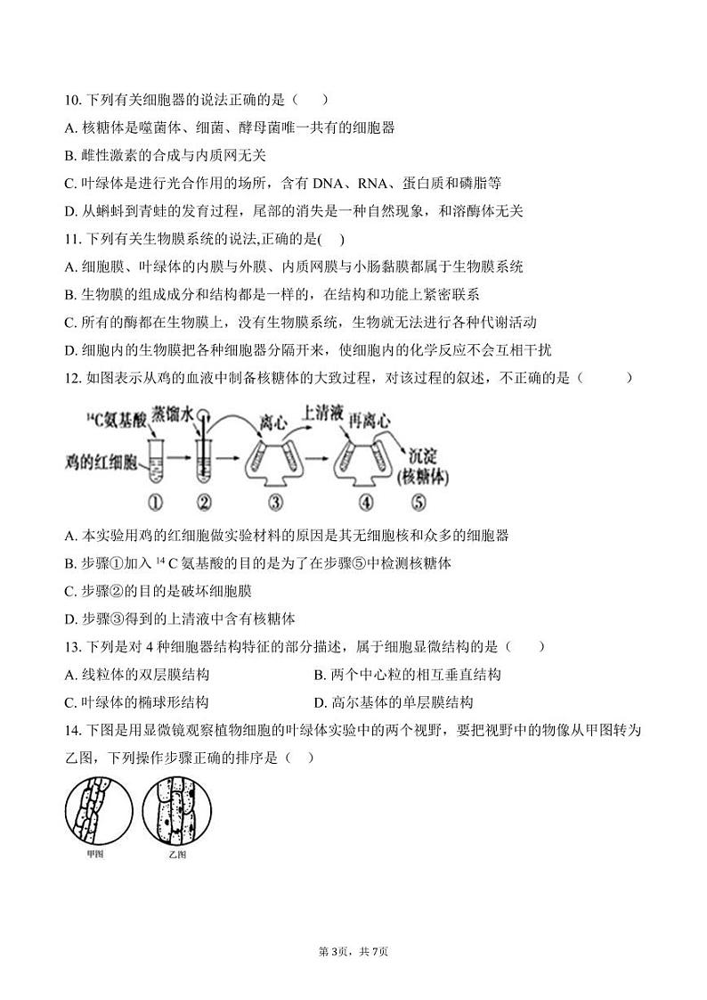 福建省莆田第一中学2024-2025学年高一上学期期中考试生物试题第3页