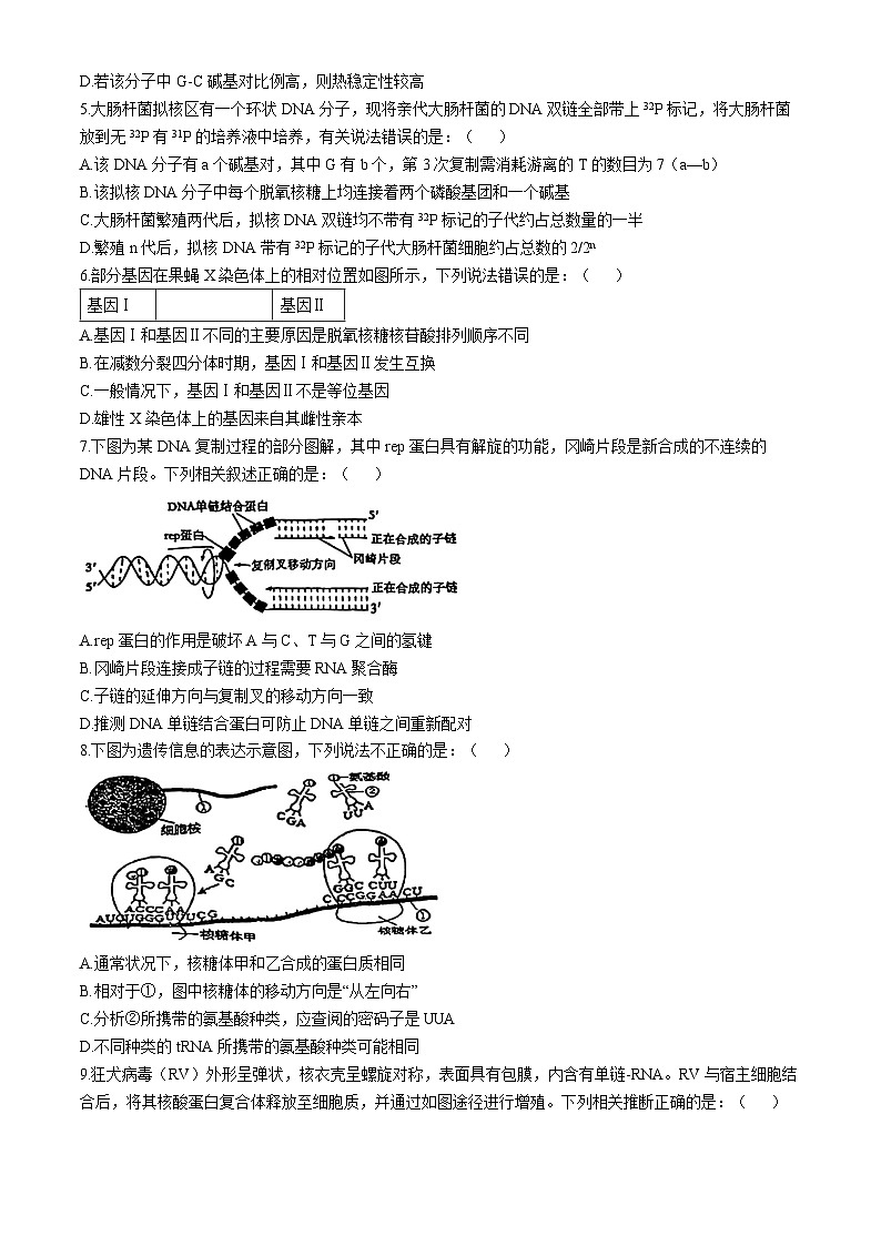 天津市滨海新区大港第一中学2024-2025学年高三上学期11月期中生物试题第2页